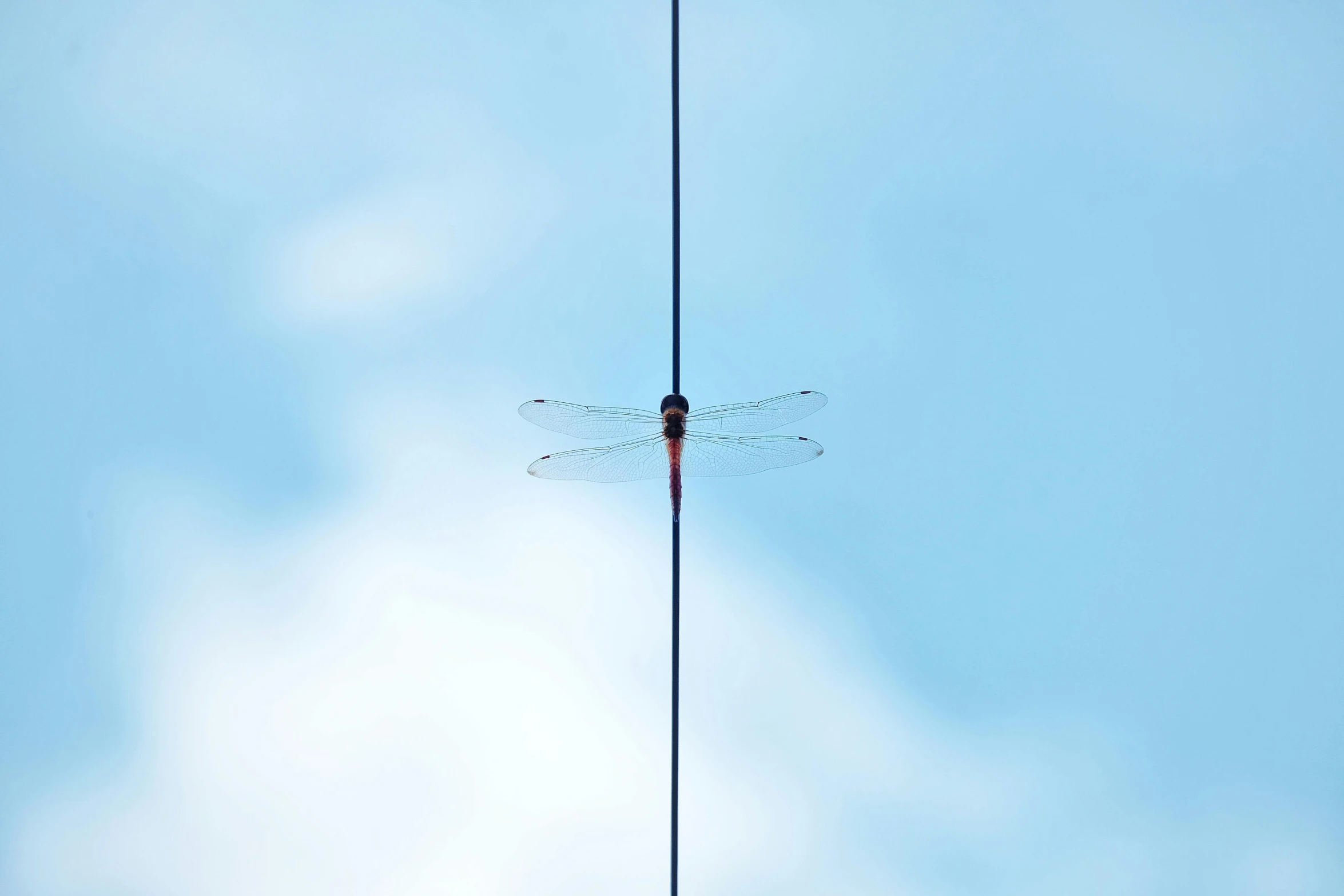 a antenna that is on a pole with a sky in the background