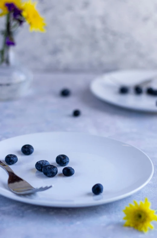 two white plates that have some blueberries on them