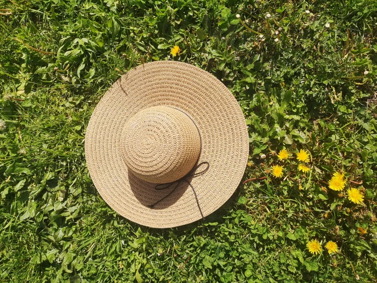 top view of a person's hat and straw hat lying in the grass