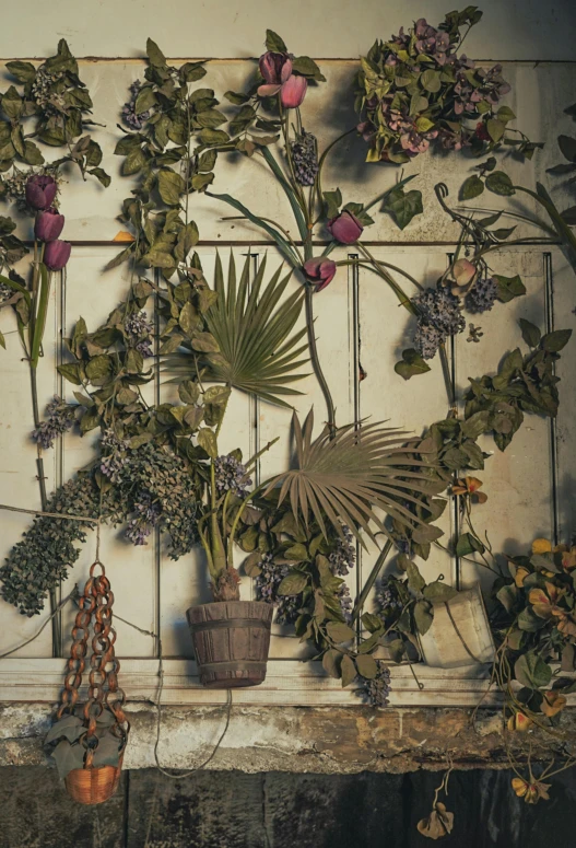 a shelf with many different flowers and leaves