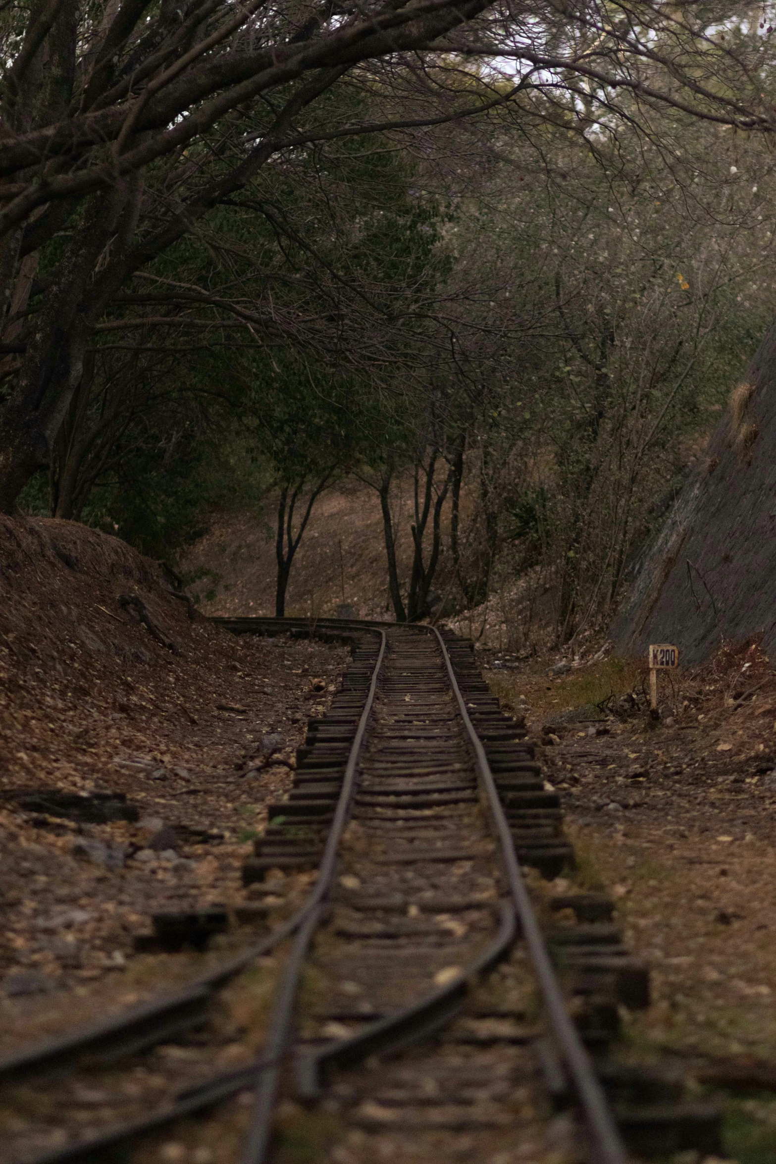 a train track on top of some tracks