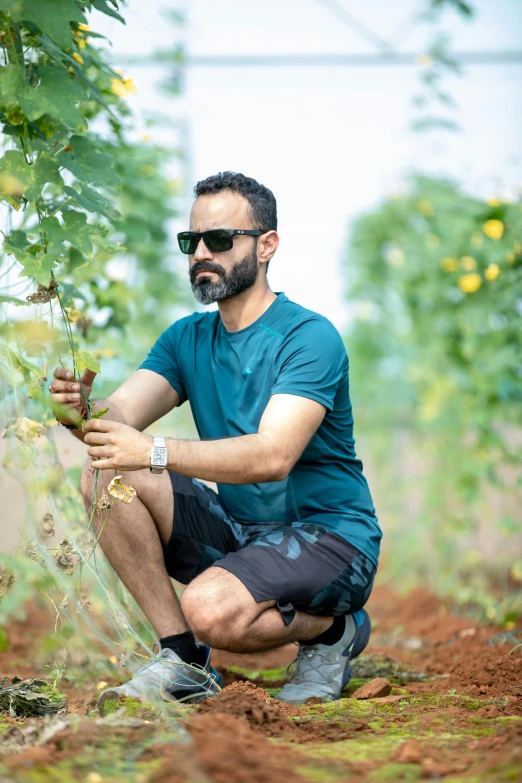 a man crouching on ground holding plants in his hands