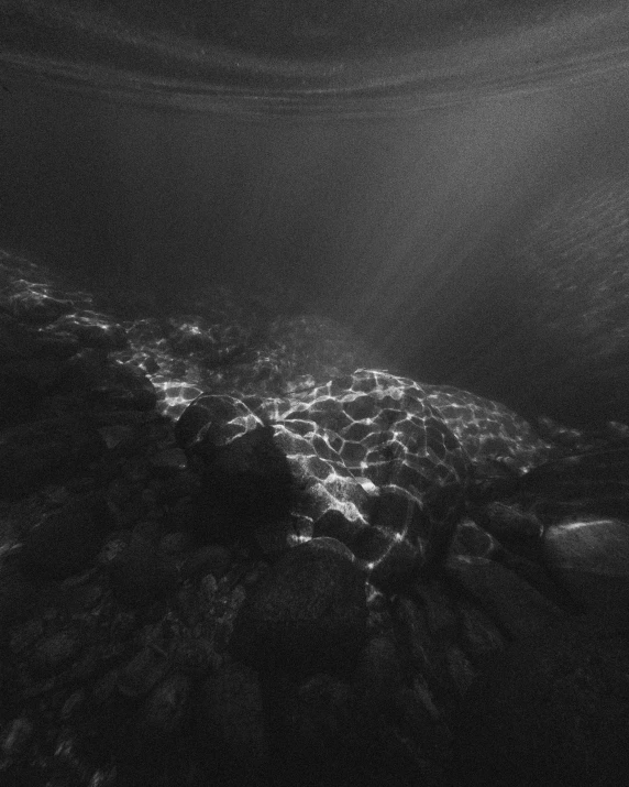 a black and white po of the ocean from an airplane