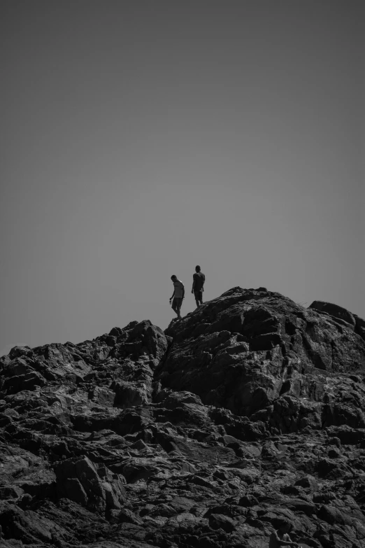 two birds sitting on top of a rocky hill