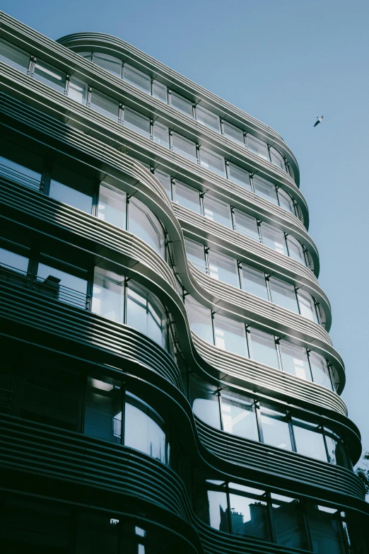 a tall building with many windows and a bird flying overhead