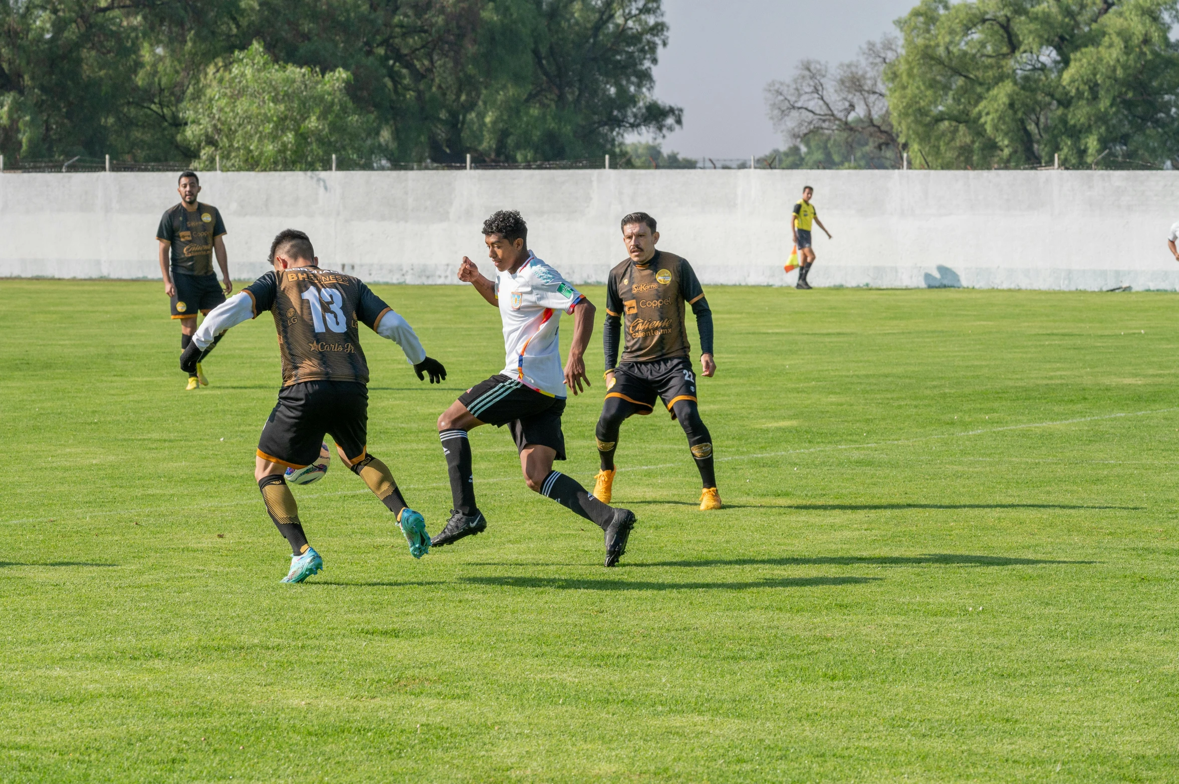 some soccer players playing soccer on a green field