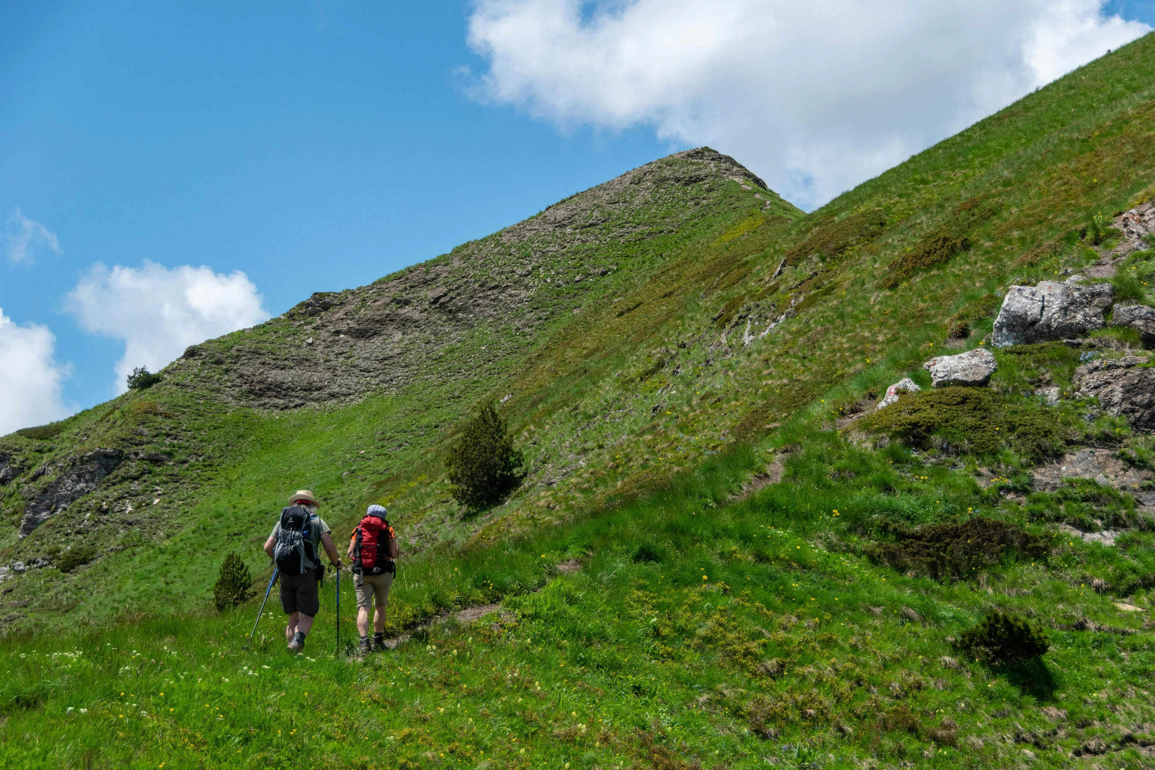 two hikers trekking up a grassy slope