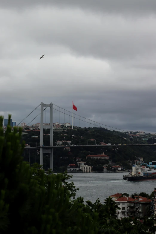 a large suspension bridge that is over some water