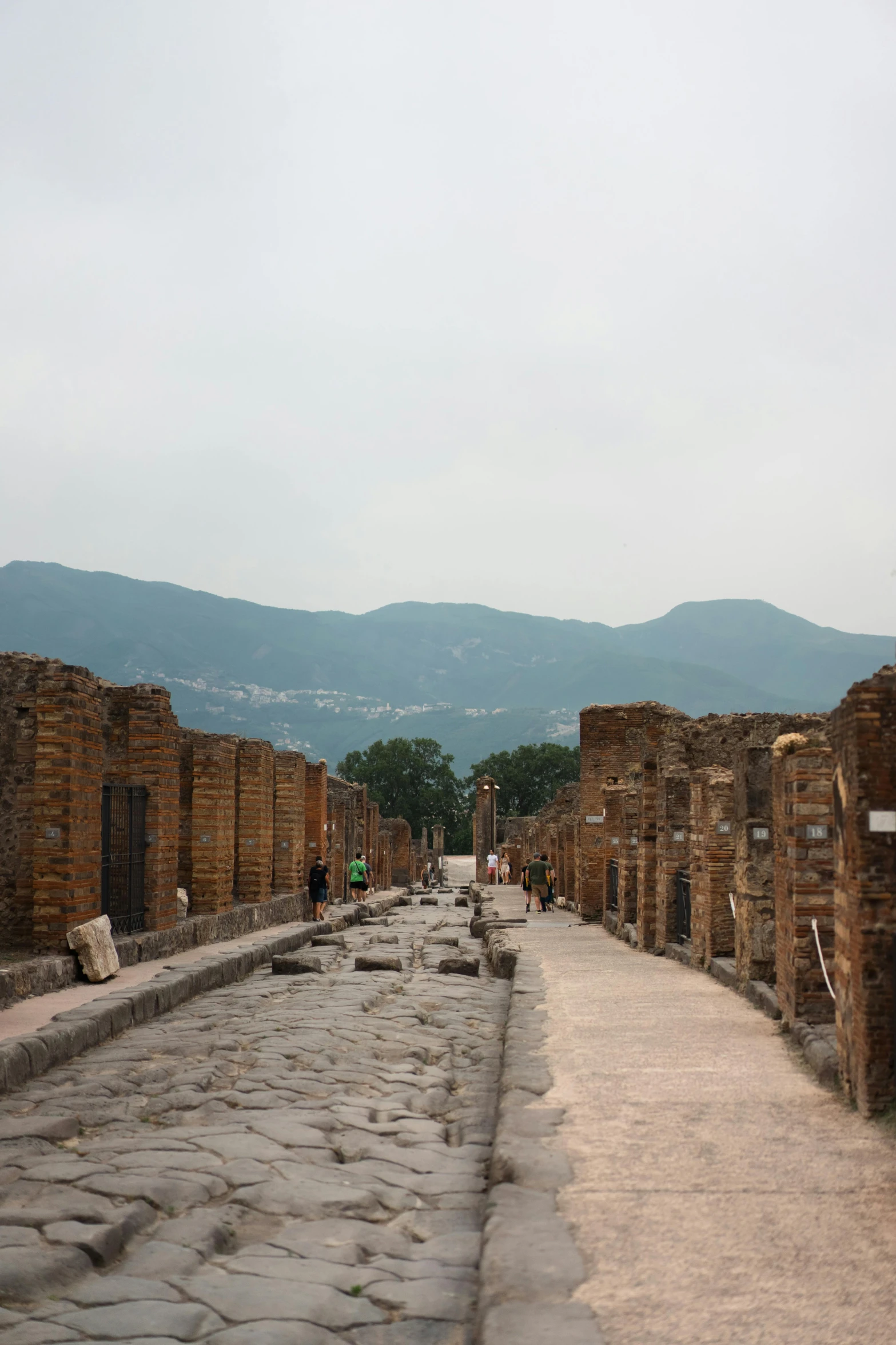 people walking on brick pavements in an ancient roman city