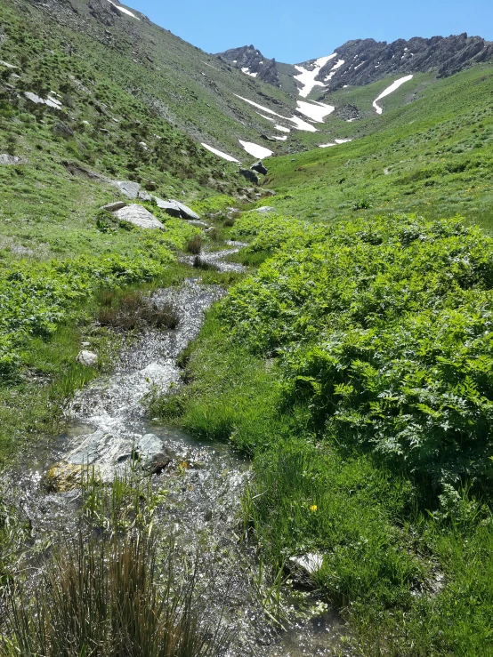 some water in the middle of a small stream