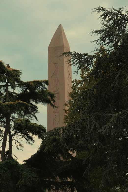 a tall obelisk stands behind a forested area with tall trees