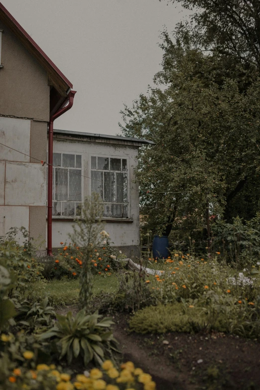 an old house is surrounded by yellow flowers