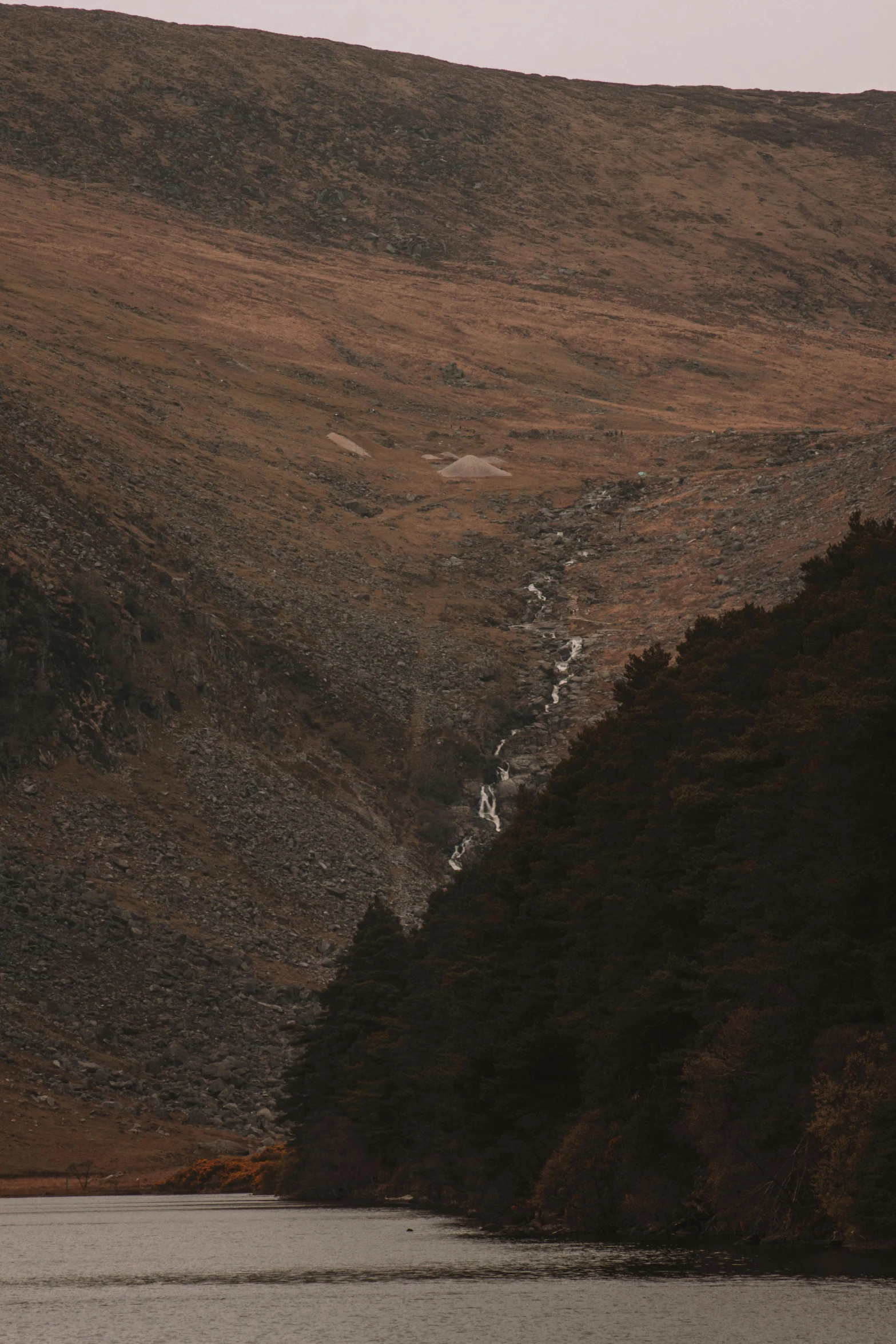 a body of water with trees in the distance