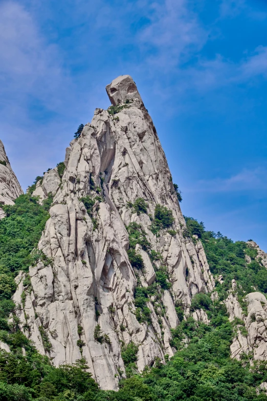 a stone mountain with trees on the side