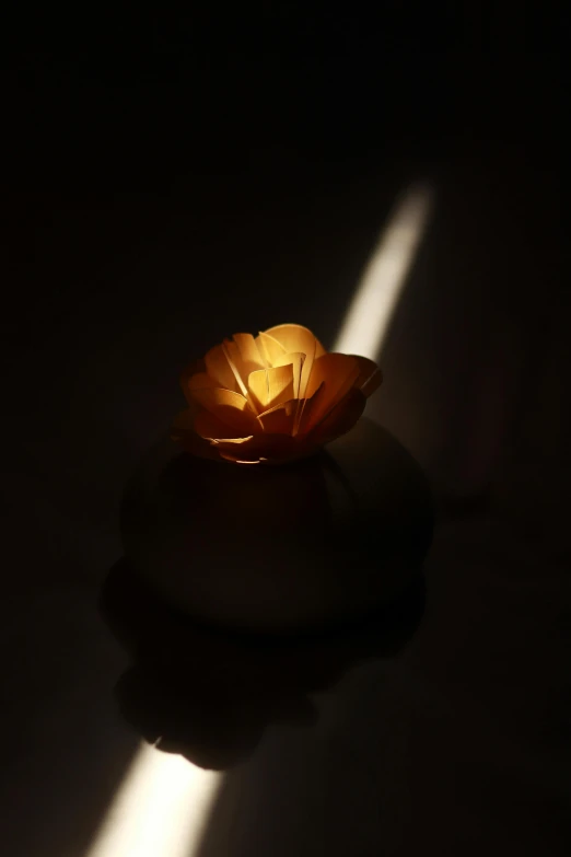 a golden flower with the shadow off it