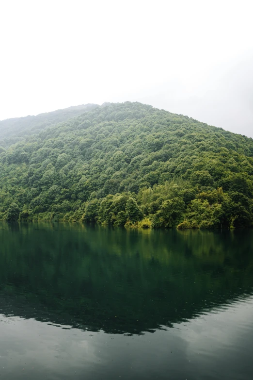 a mountain next to the water with trees on it