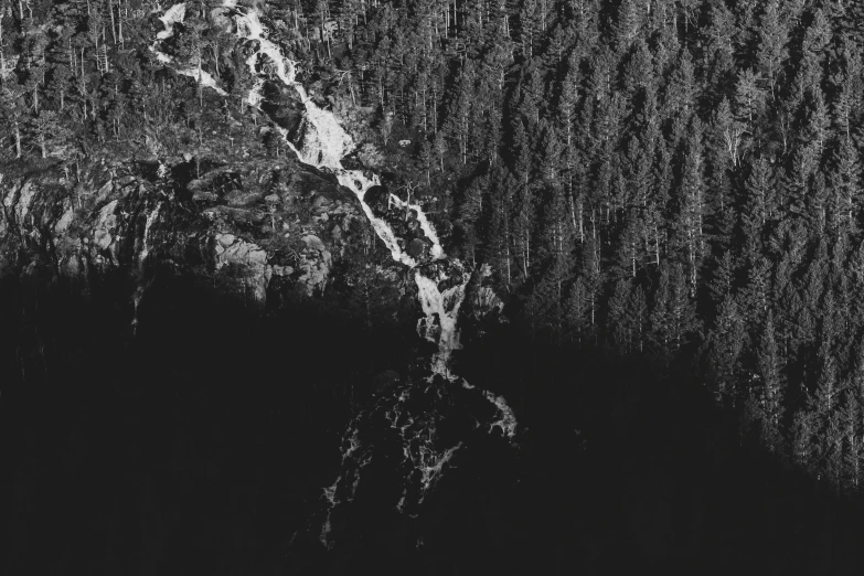 a black and white pograph of trees and mountains