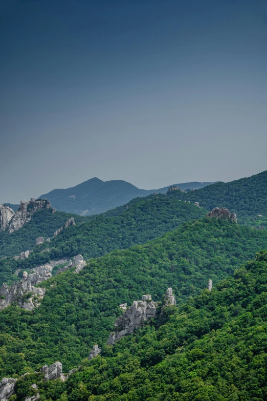 the landscape of an open area, with trees and mountains