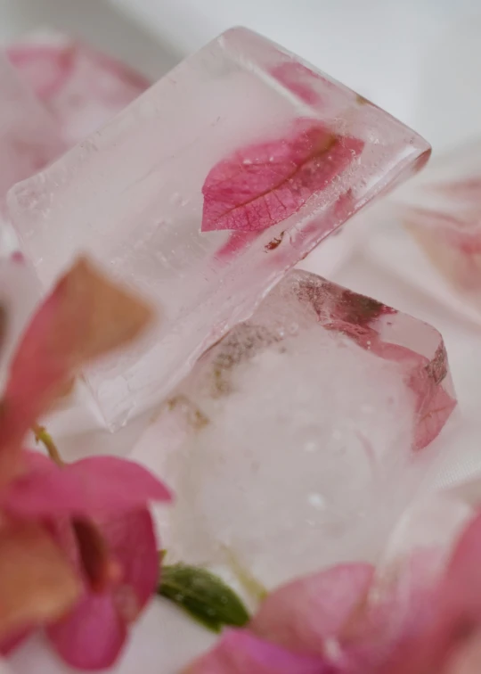 a bunch of ice cubes sitting on top of some pink flowers