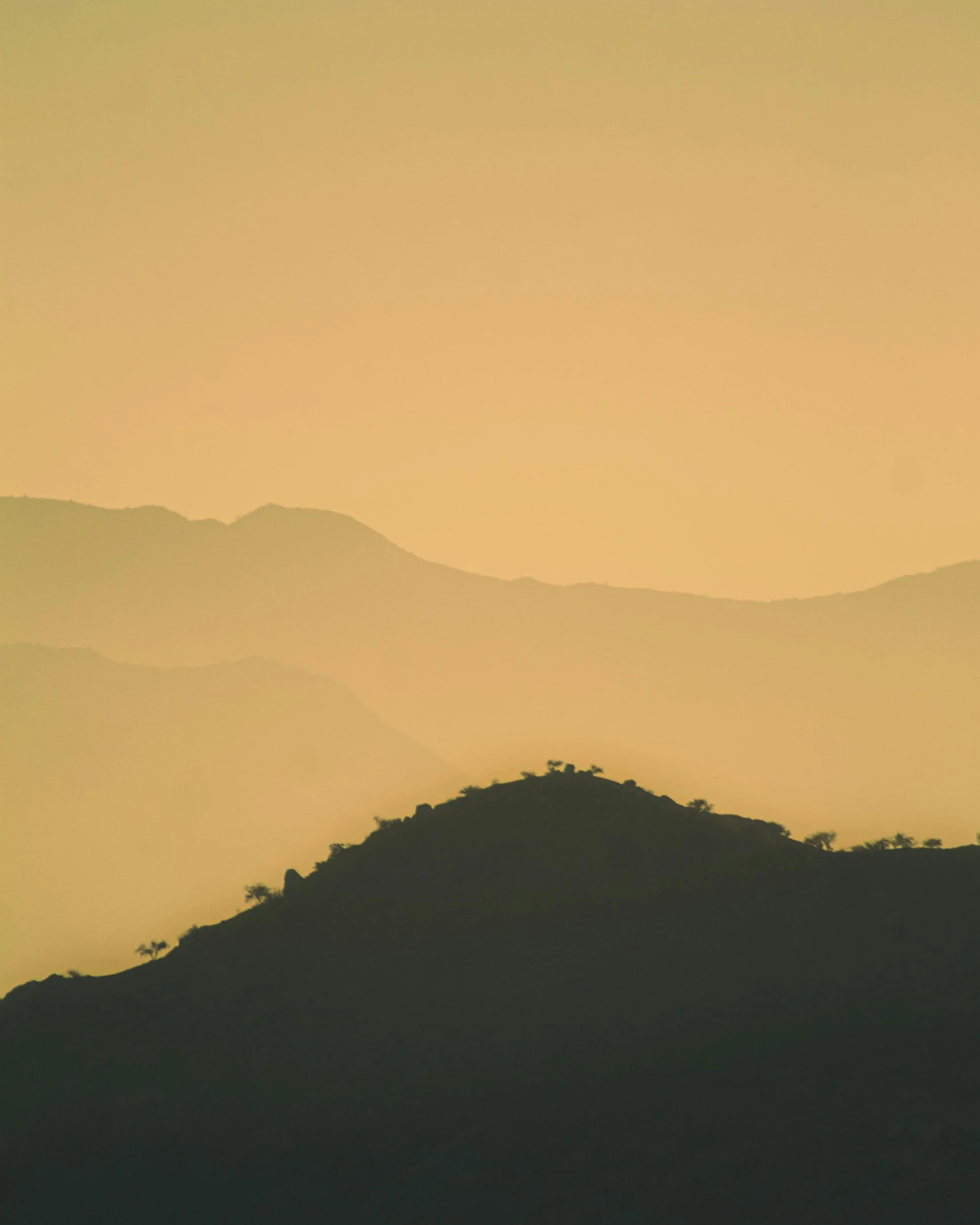 an orange and yellow sky with a bird standing on top of a hill