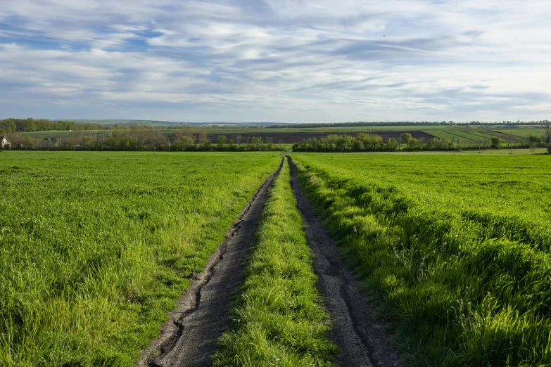 two long straight roads running through a grassy field