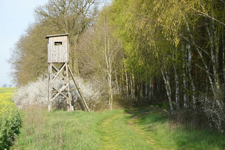 a wooden tower in the middle of a grassy field near trees