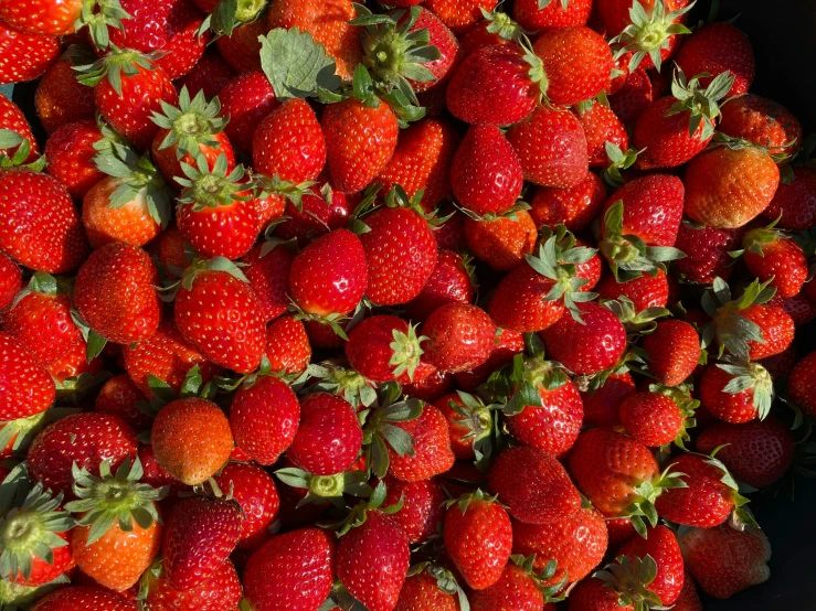 there are many ripe strawberries scattered in a bowl