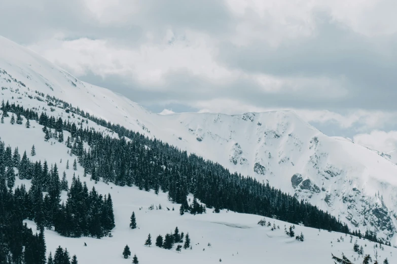 a very pretty snow covered mountain with many trees