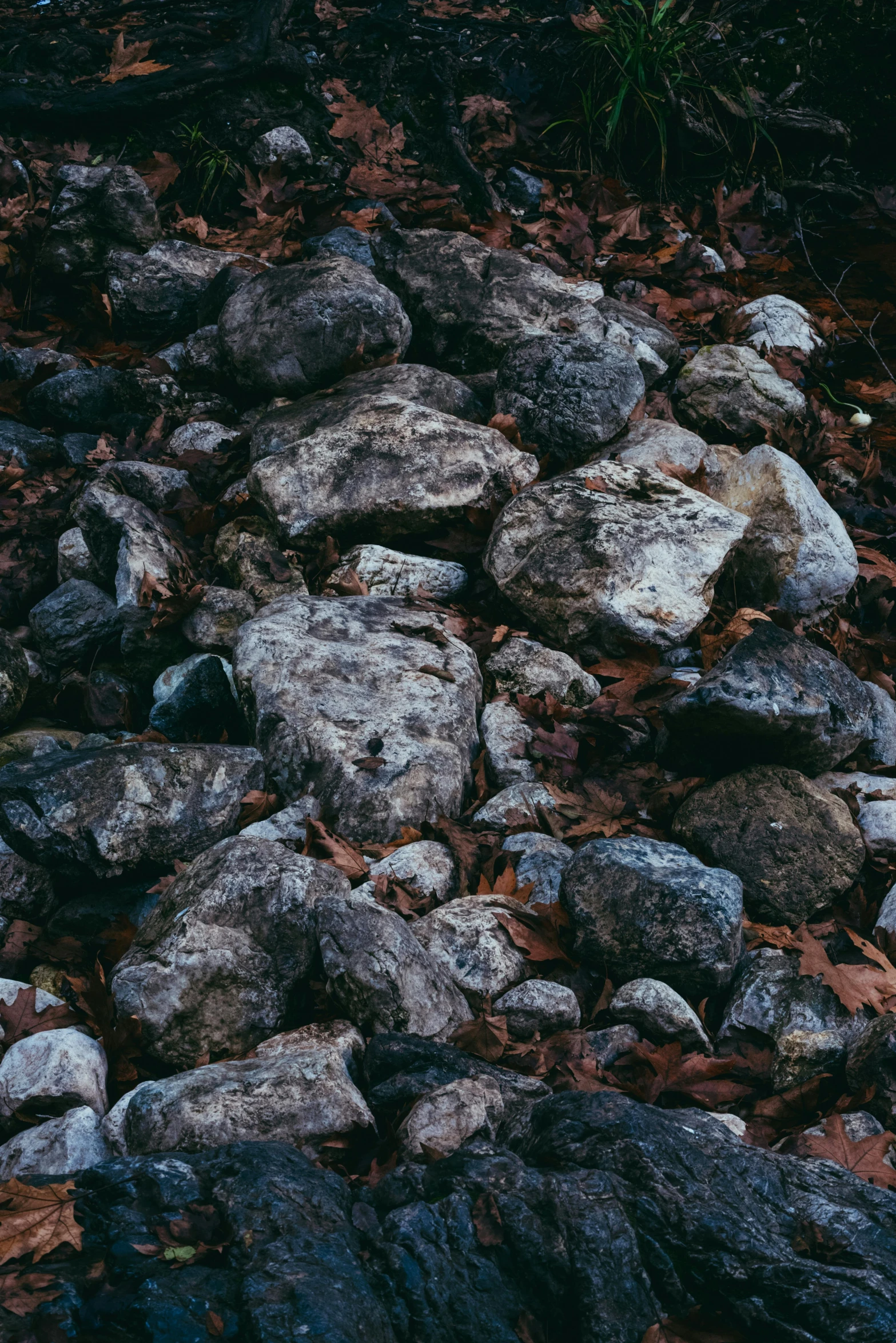 a bunch of rocks that are on the ground