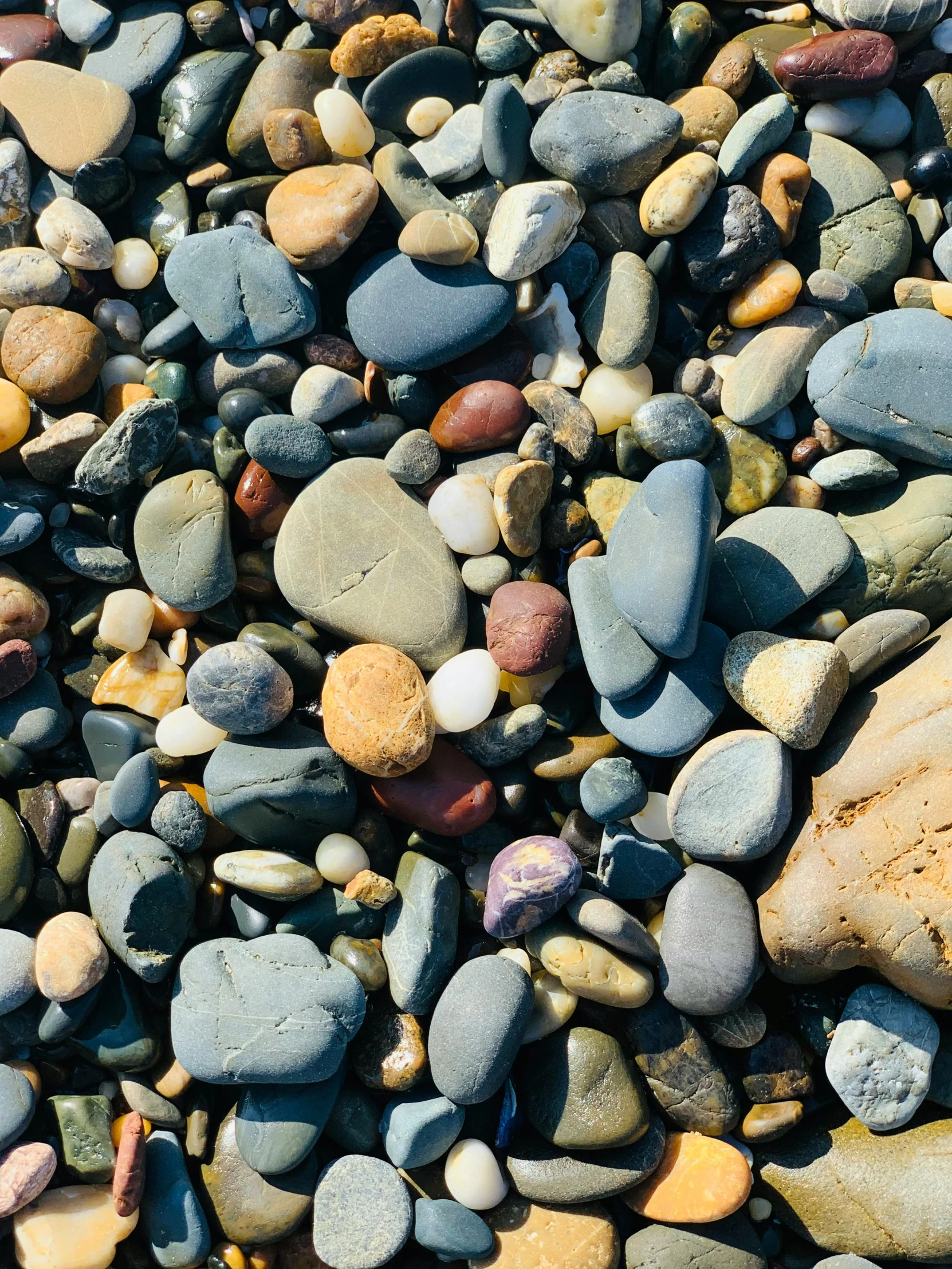 several colorful rocks and shells on a beach