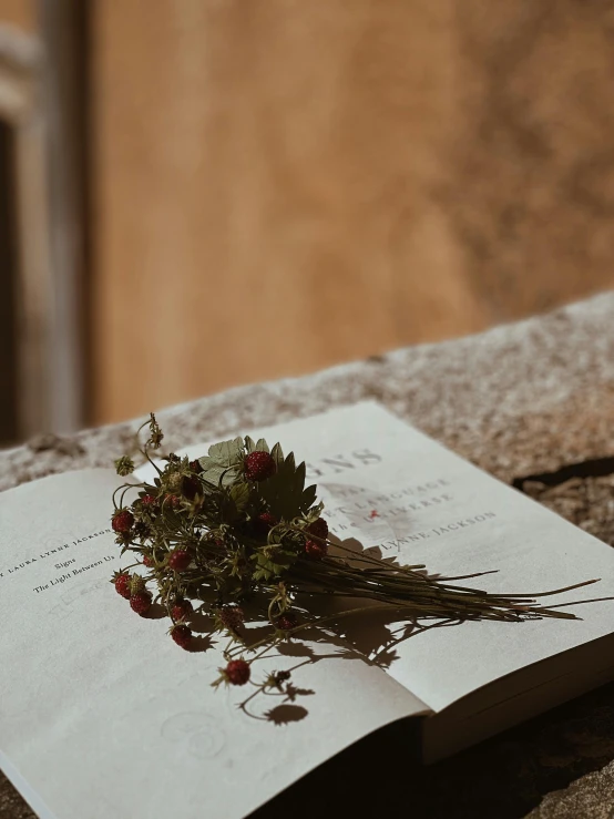 the book is closed and has flowers in it