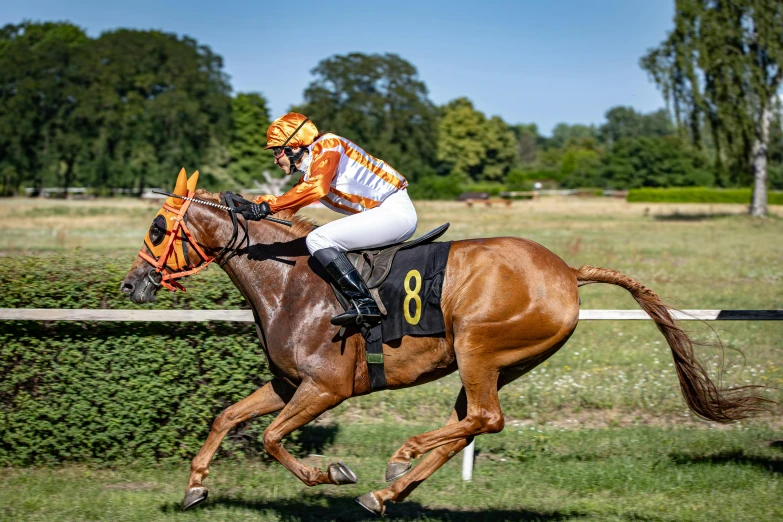 a jockey wearing an orange and white uniform rides a brown horse