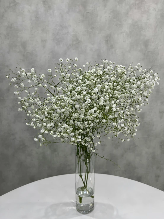 a vase filled with lots of white flowers