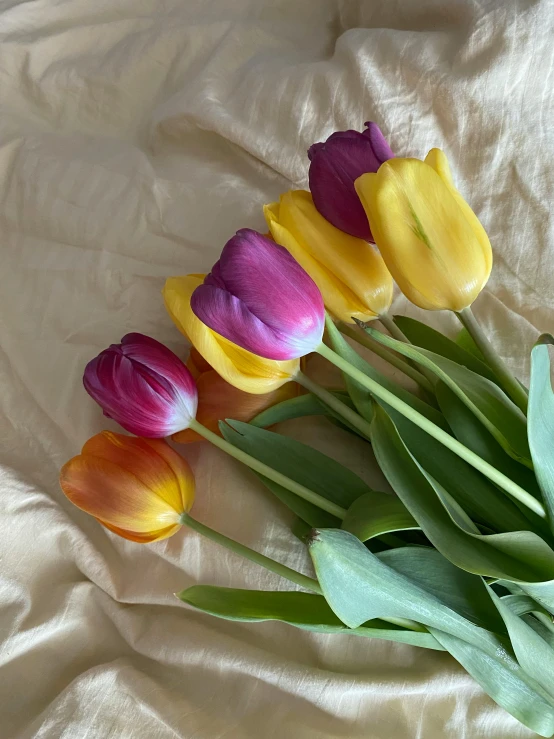 a set of tulips in various colors on white fabric