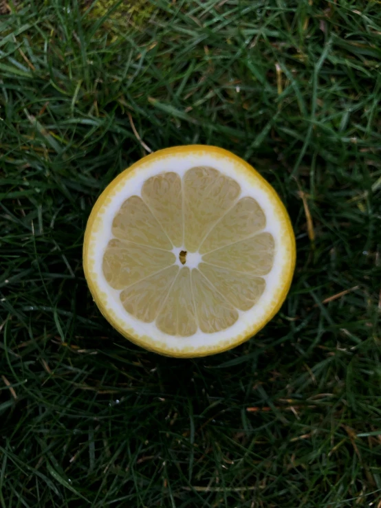 an orange half cut in half on grass