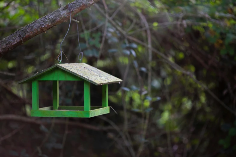 a green bird house hanging on a nch