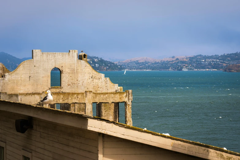 a bird is sitting on the top of the roof