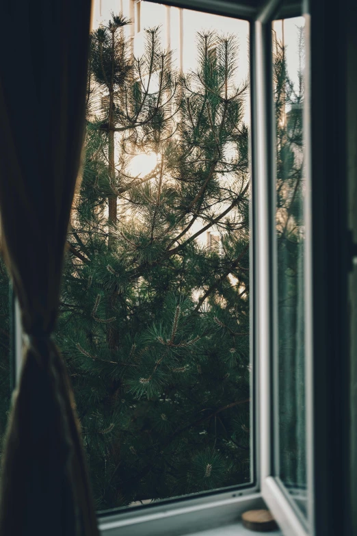 an open window sitting above a green forest