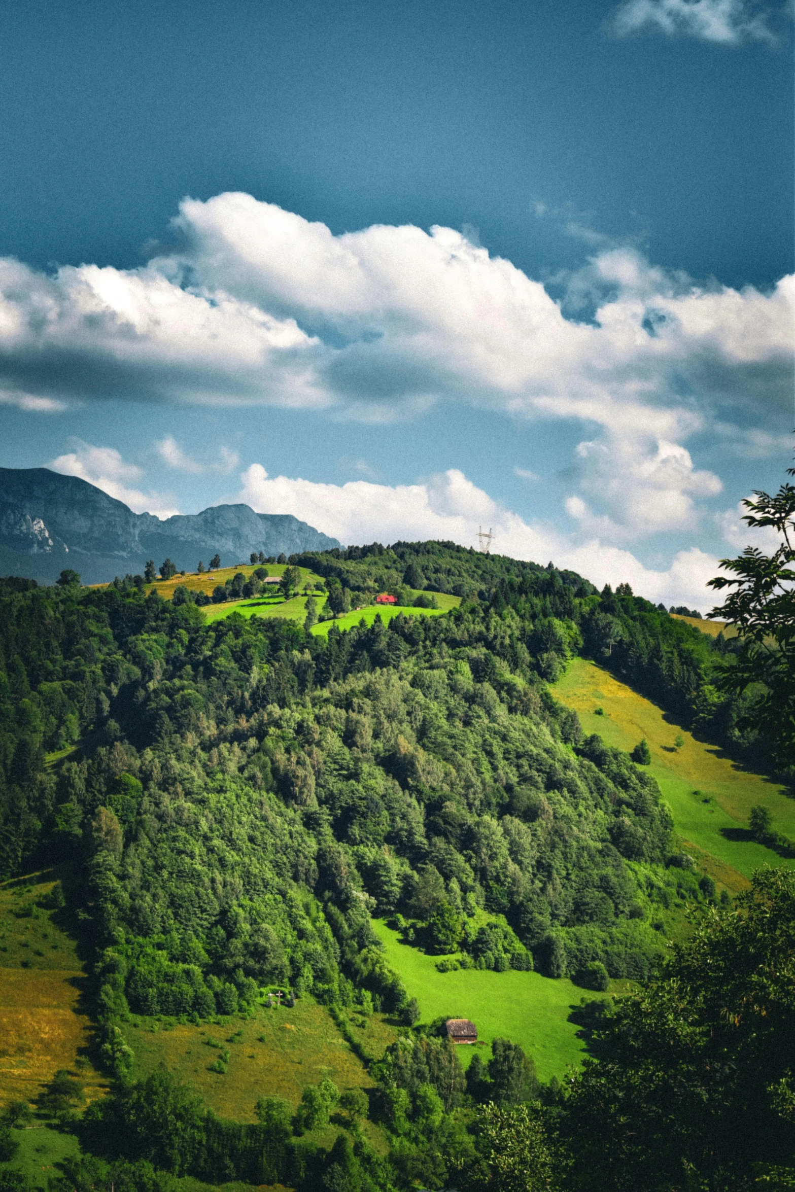 a field is seen at the bottom of a hill