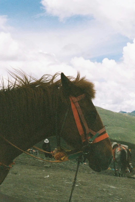 the horse is tied up to a post by the reins