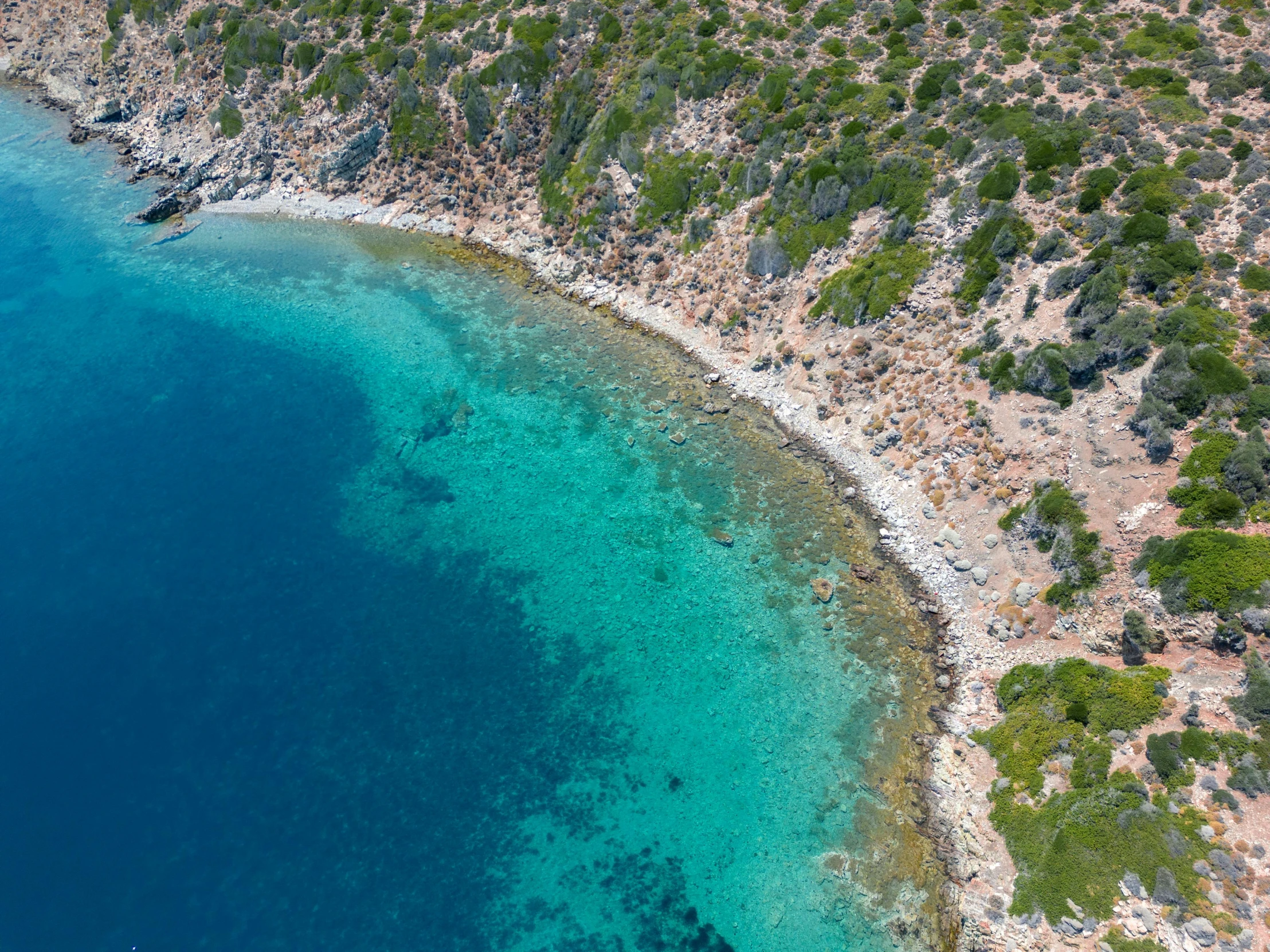 an aerial view of a bay on the sea with lots of trees