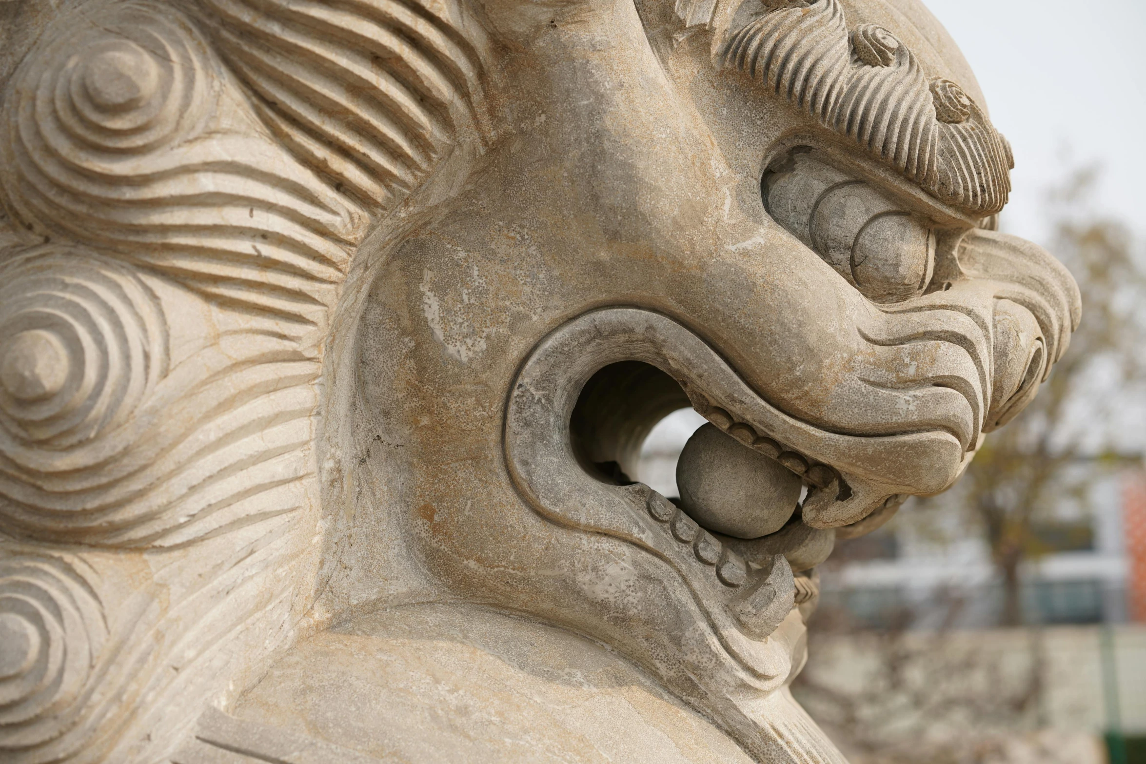 a lion's face is carved on the outside