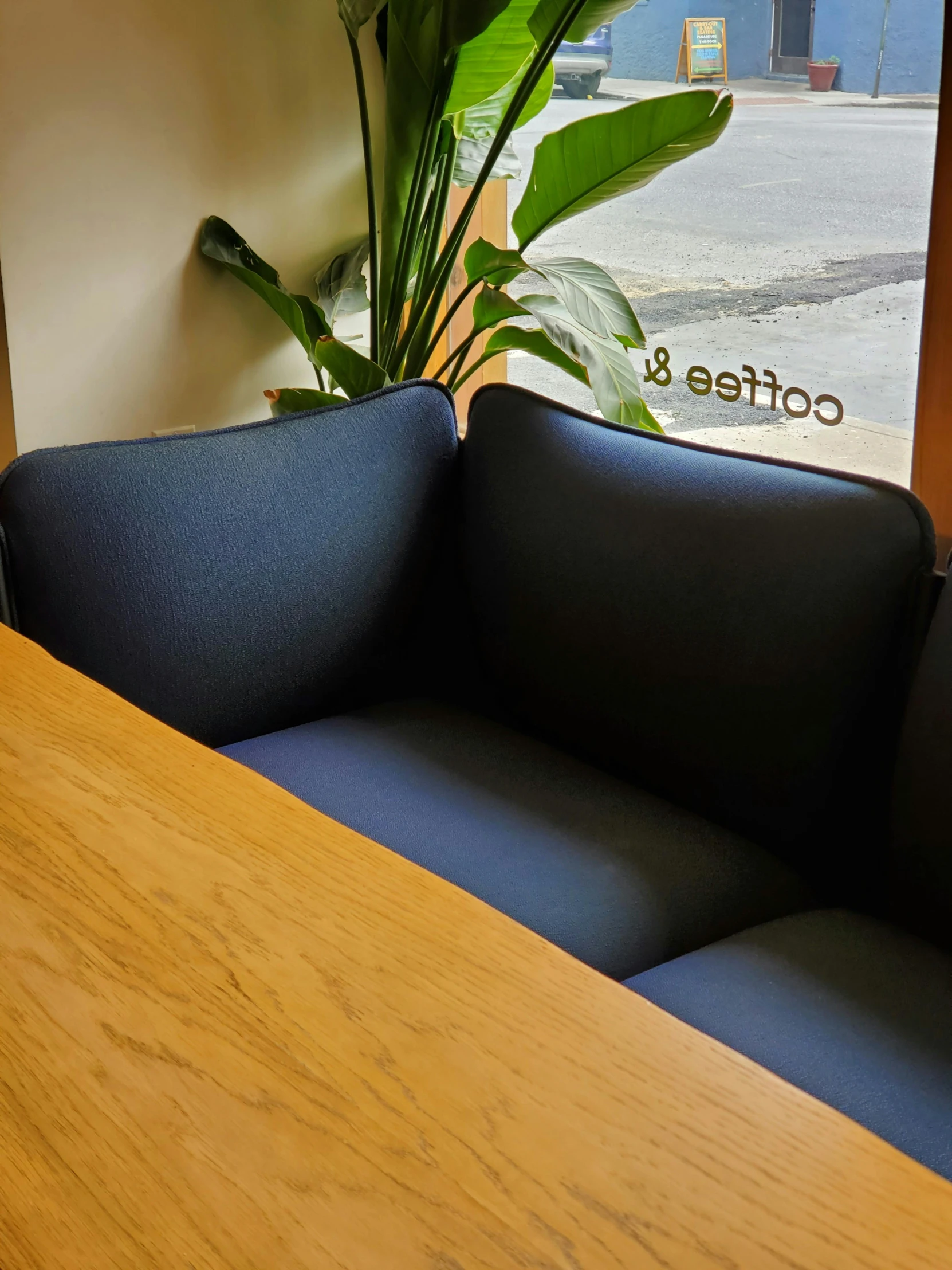 a couch near a window with a plant on it