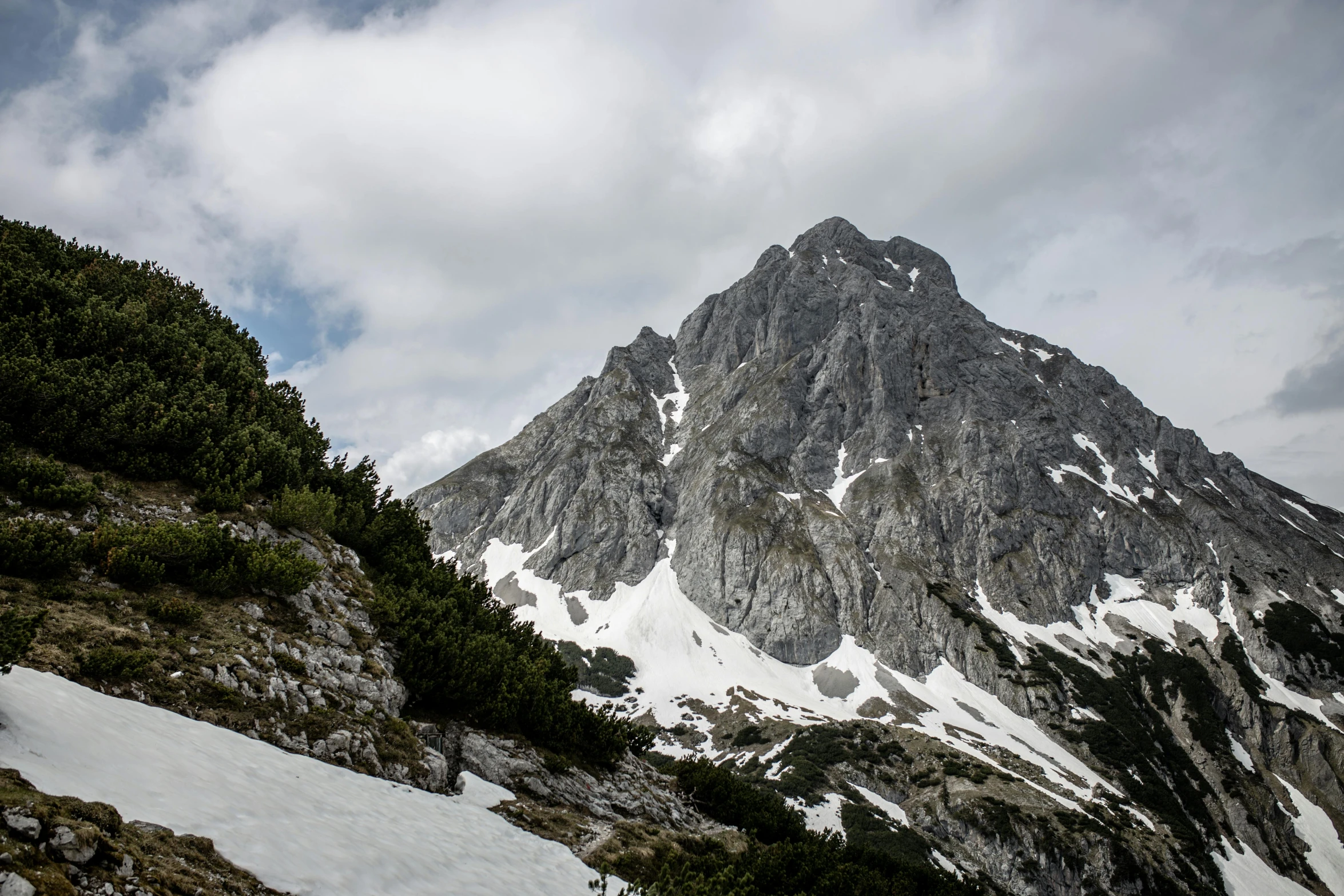 a snow covered mountain with trees in the foreground