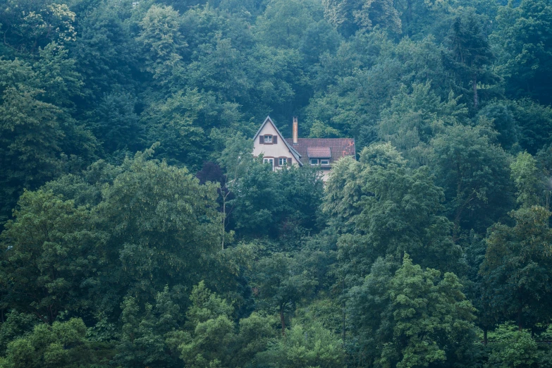 a house nestled in trees in the middle of the woods