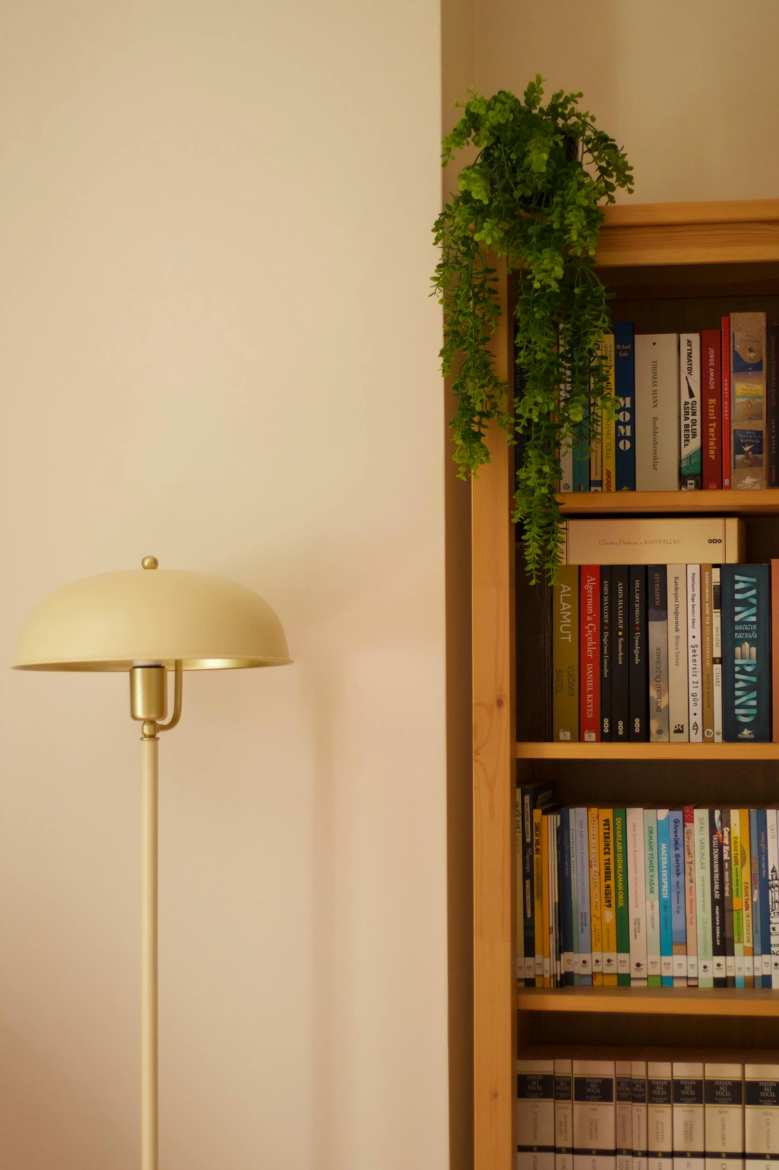 a lamp, bookshelf, and plants sitting beside it