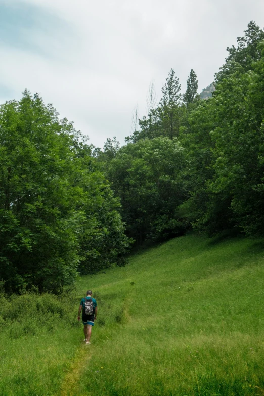 a person in a backpack on the trail going up a steep hill