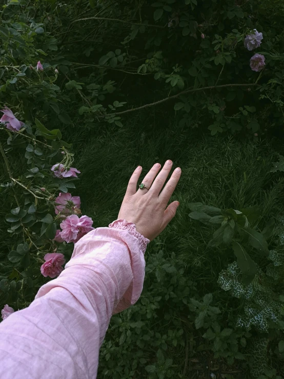 a hand in the middle of an area of green grass