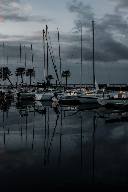 several sailboats are moored in a harbor