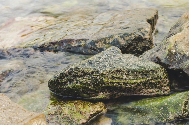 rocks with moss on them in the water